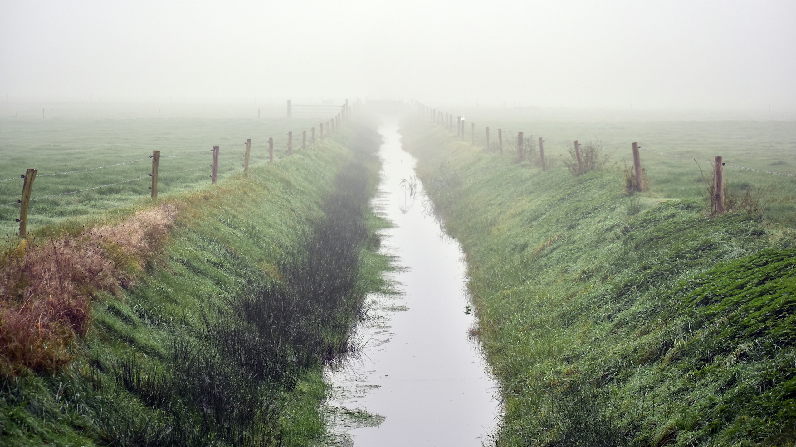 stikstof Greenpeace waterschappen 